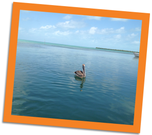 Caye Caulker