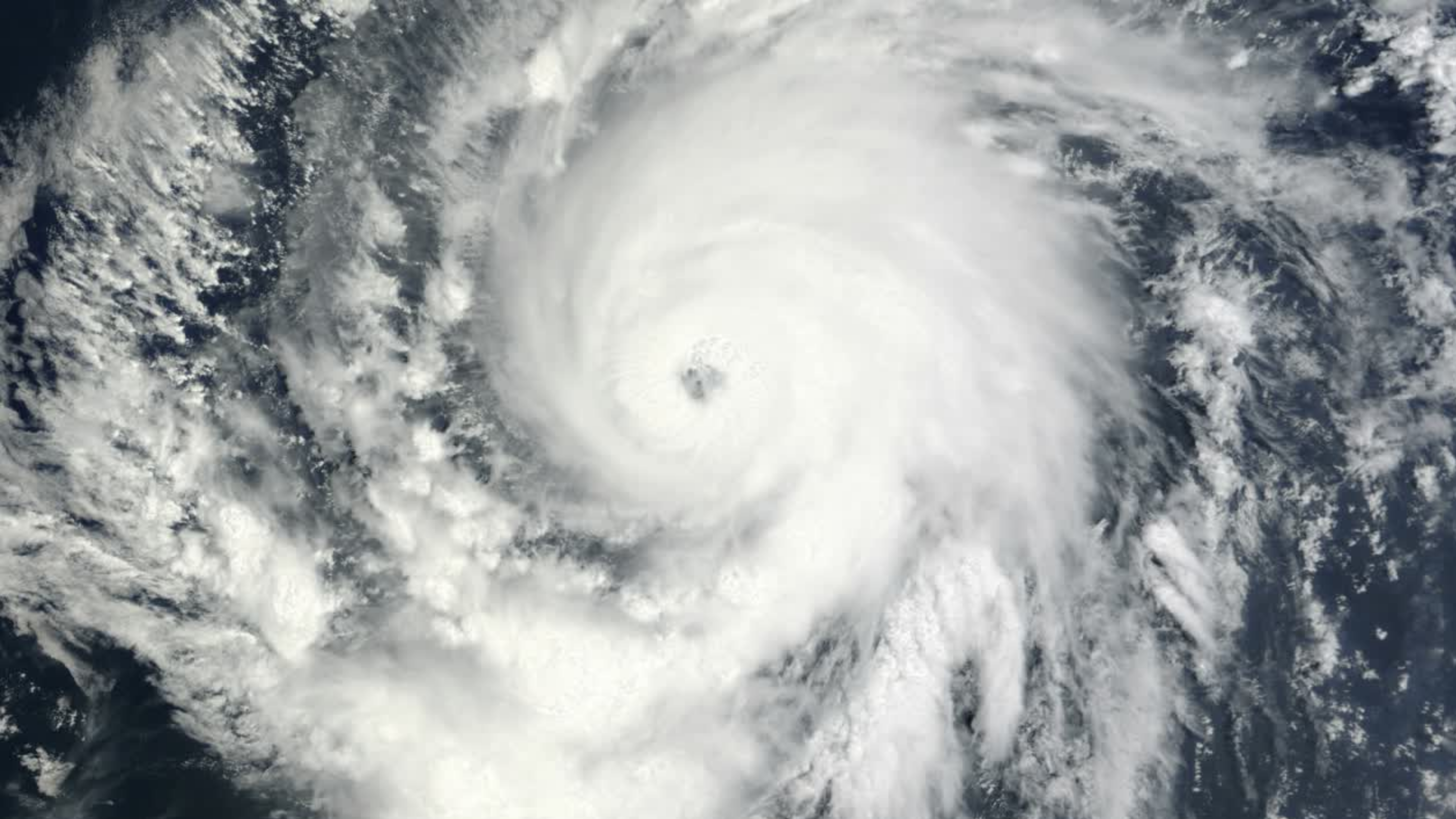 Puerto Rico Update: Hurricane Relief 